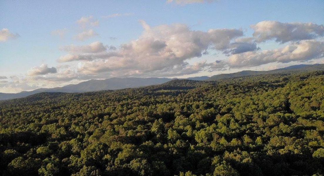 Natural landscape and outdoor views near  in Ellijay (Image 7).