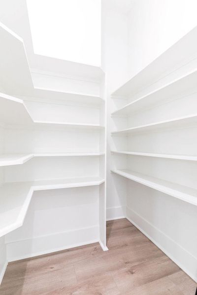 View of walk-in Pantry