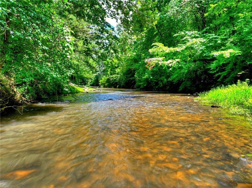 Natural landscape and outdoor views near  in Ellijay (Image 40).