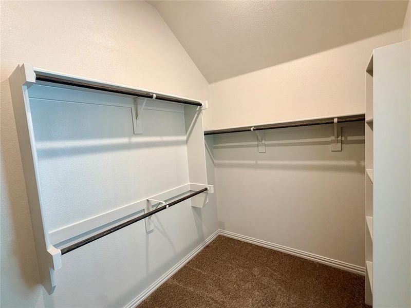 Walk-in closet featuring white built-in shelving, white walls, and brown carpet flooring