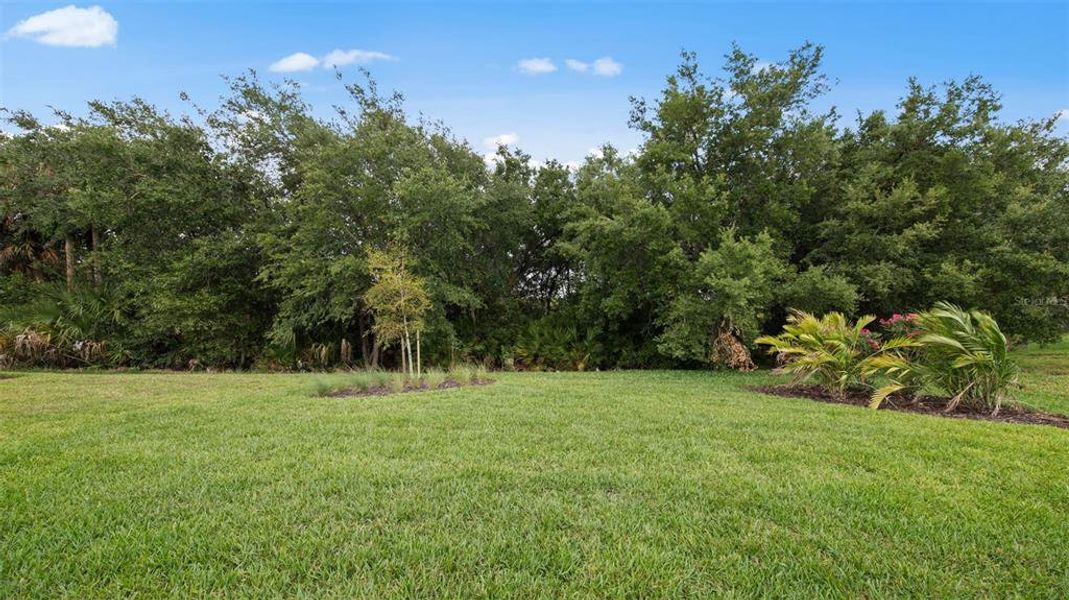 Natural landscape and outdoor views near  in Fort Myers (Image 26).