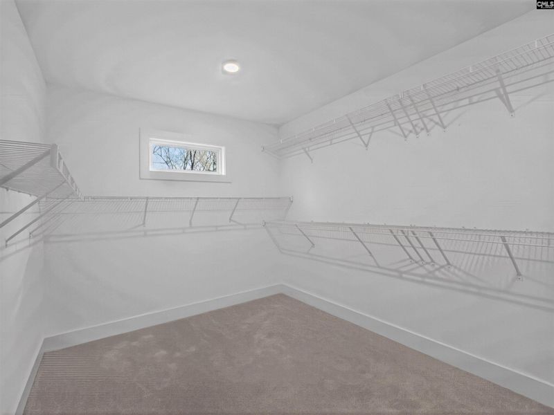 Spacious, unfurnished interior of a new home in Collins Cove, Chapin (Image 50).