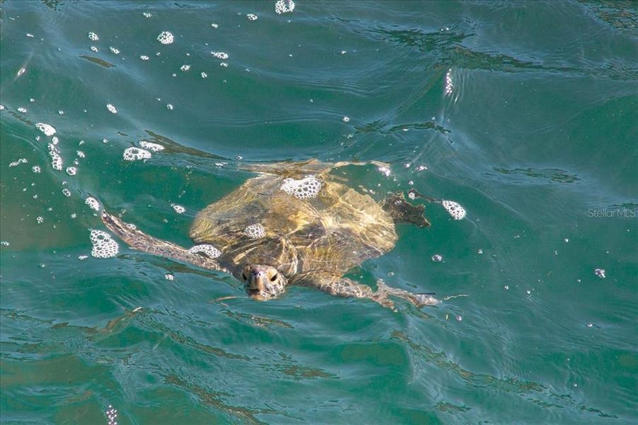 Image 42 of a home in . Image 42 of a home in .