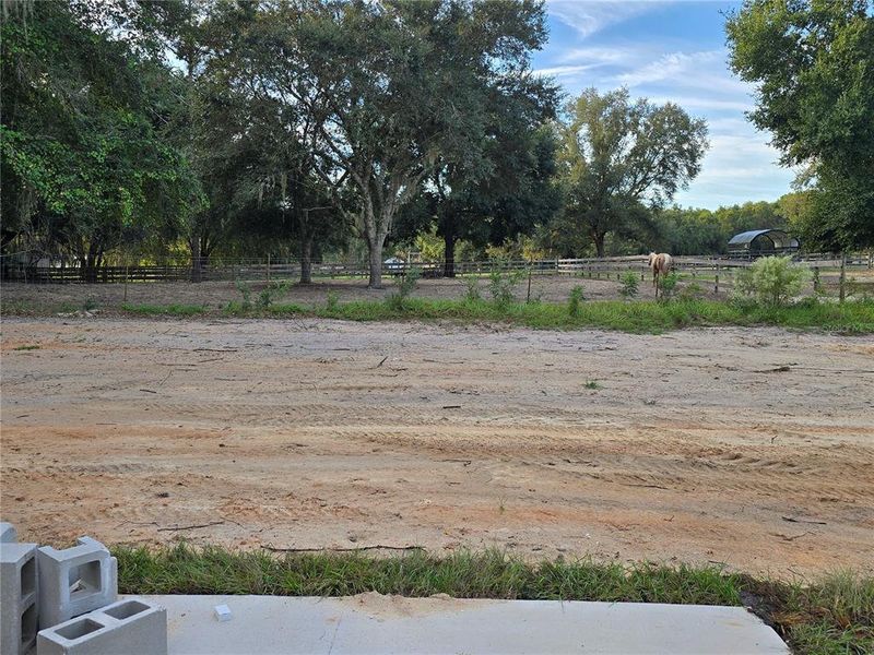 Site preparation for new homesites in , Ocala (Image 40). Site preparation for new homesites in , Ocala (Image 40).