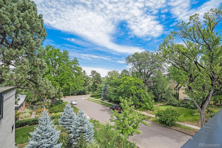 Treetop view from the front roof deck