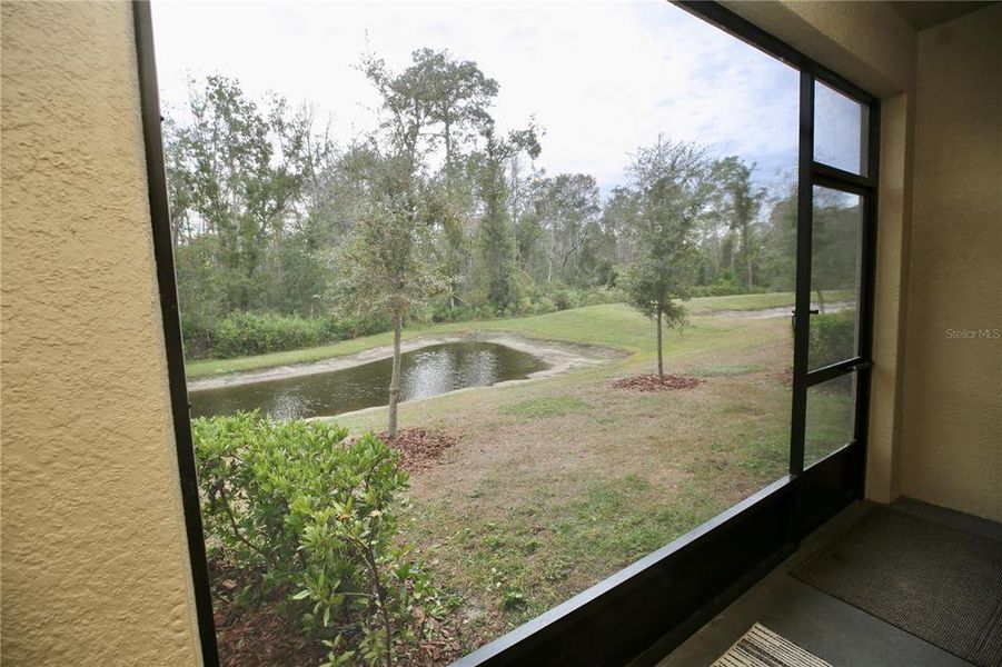 Exterior details and patio area of a home in , Land O' Lakes (Image 25).