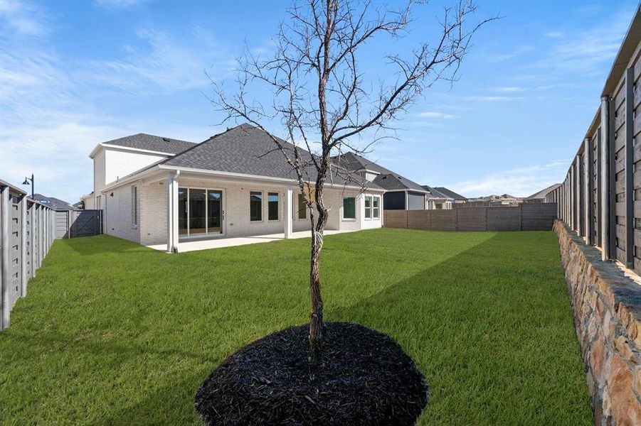 27. 500 Blue Yucca - Back (2)