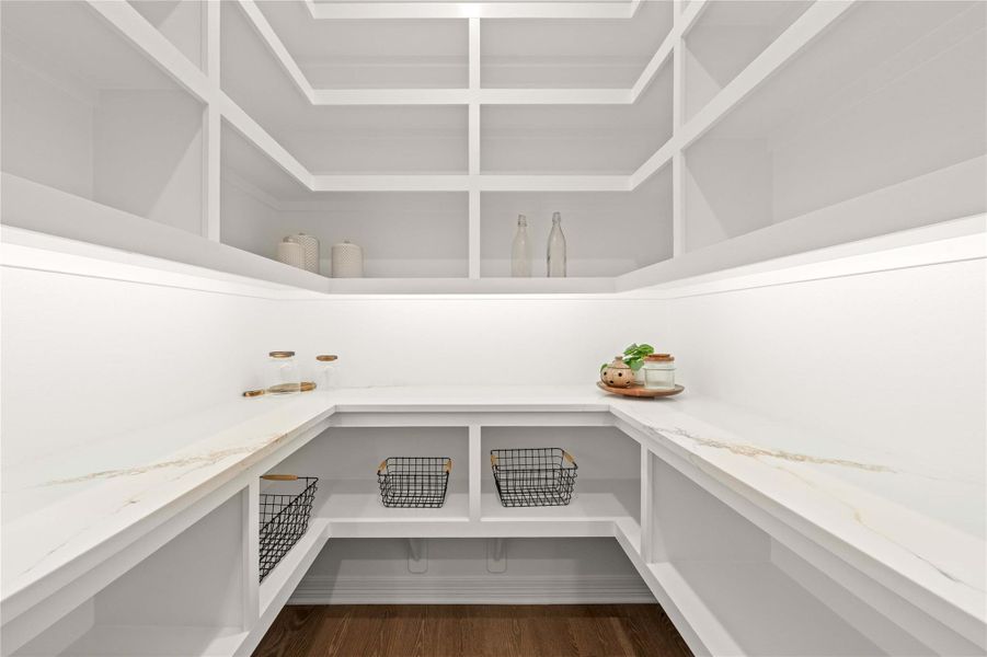 Organized pantry with ample storage, clean counters, and rich wood flooring. Organized pantry with ample storage, clean counters, and rich wood flooring.