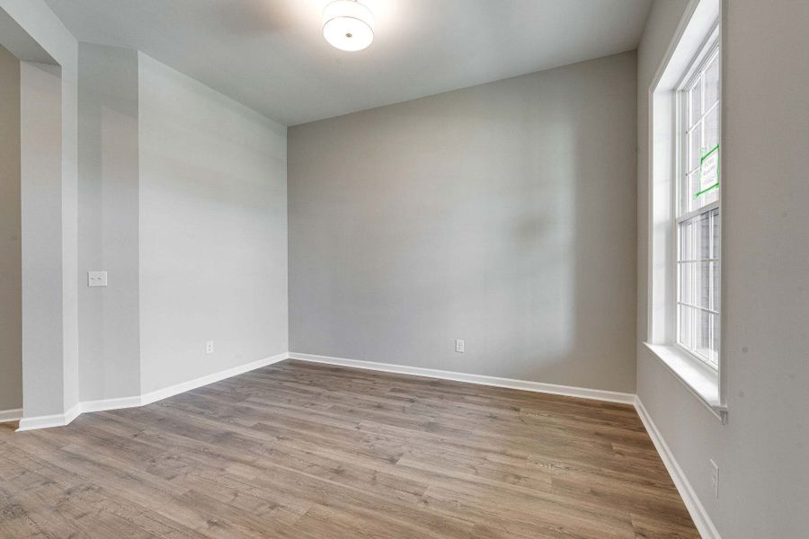 The Graystone - Study The Graystone - Study