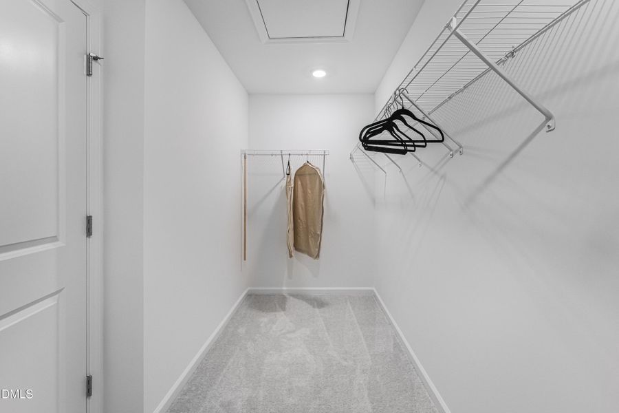 SUN_Marelli_Pic_405Venetian-29