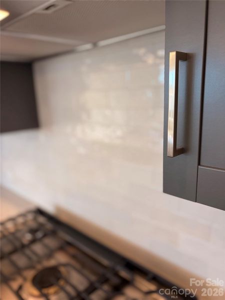 Close-up of interior finishes inside a home in Encore at Harmony, Harrisburg (Image 9).