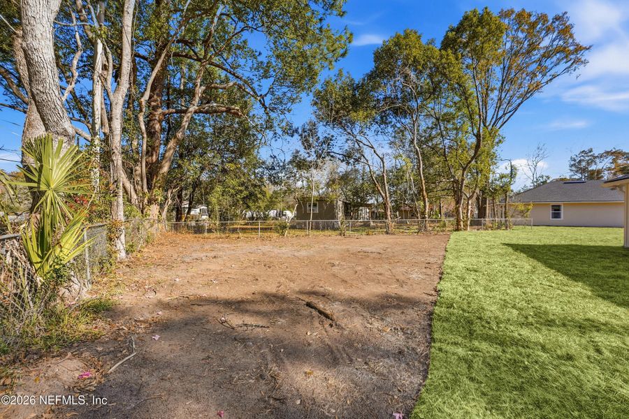 Natural landscape and outdoor views near  in Jacksonville (Image 27).