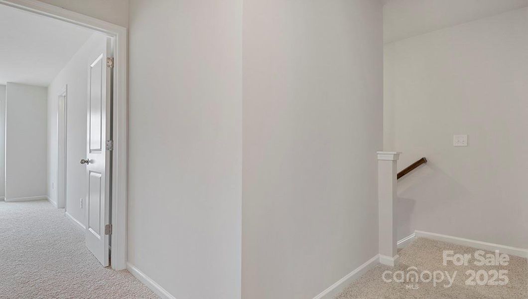 Photos are representative