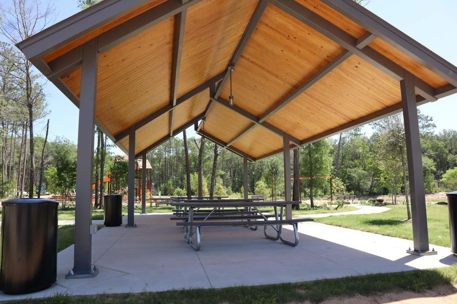 Community amenities in , Houston (Image 24).
