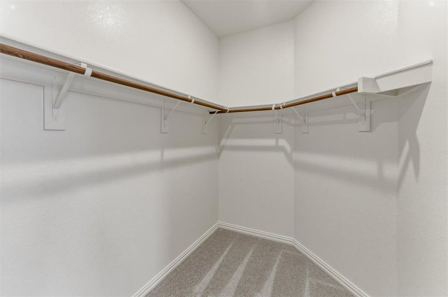 Walk-in closet featuring light gray carpet flooring, white painted walls, and a corner shelving system with integrated wood-finish hanging rods
