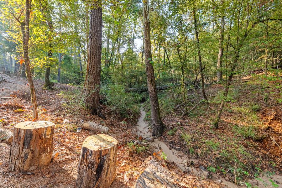 This serene wooded area features a small creek and natural seating with tree stumps, perfect for enjoying the peaceful outdoors. Ideal for nature lovers seeking tranquility. This serene wooded area features a small creek and natural seating with tree stumps, perfect for enjoying the peaceful outdoors. Ideal for nature lovers seeking tranquility.