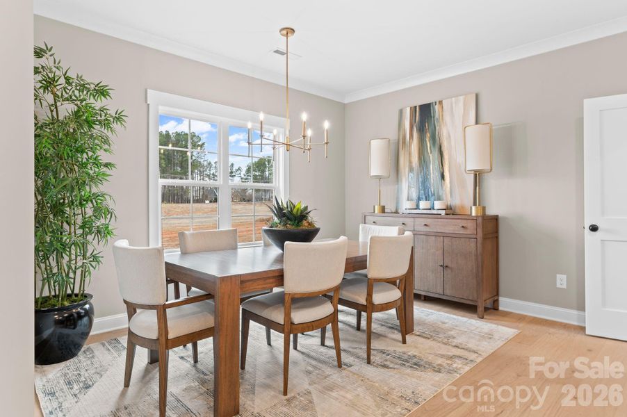 Furnished interior view inside a new home in , Lexington (Image 8).