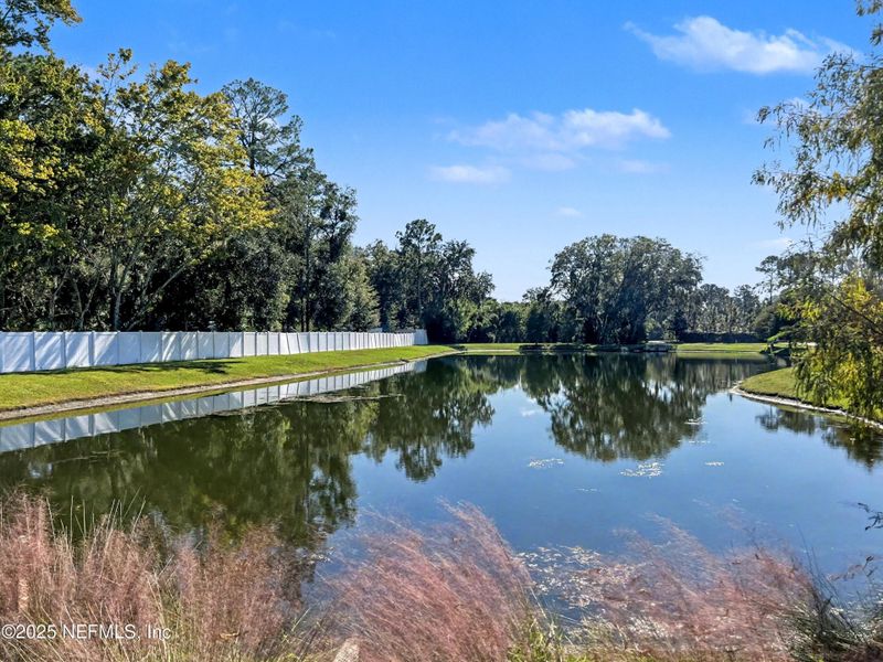 Natural landscape and outdoor views near Bradley Pond in Jacksonville (Image 42).