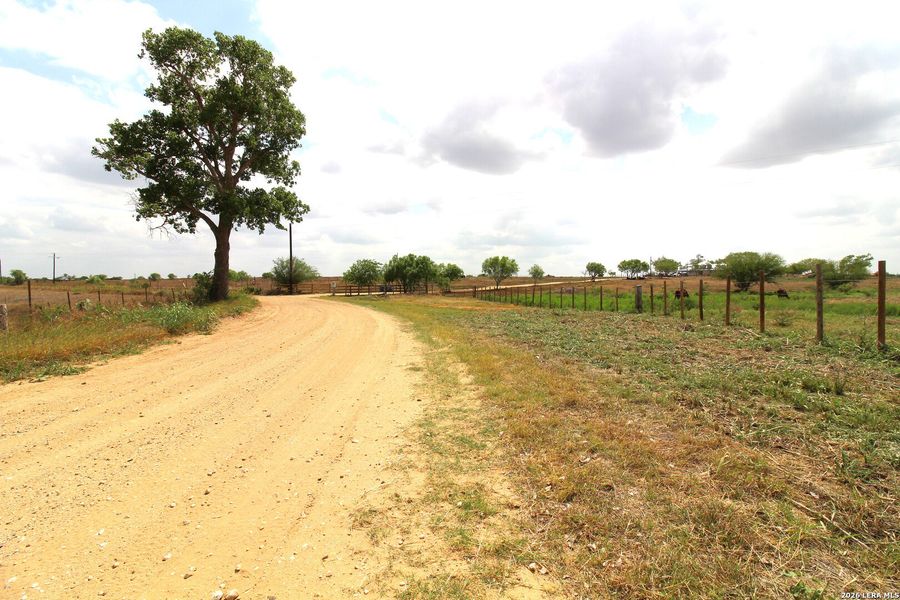 Natural landscape and outdoor views near  in Floresville (Image 38).