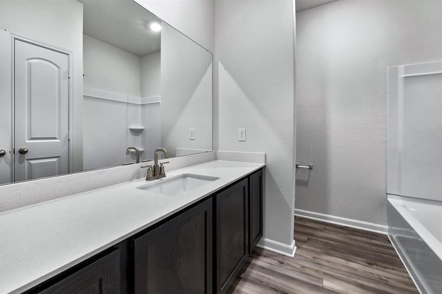 Bathroom featuring wood-type flooring and vanity