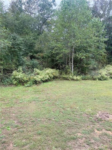 Natural landscape and outdoor views near  in Carrollton (Image 17).