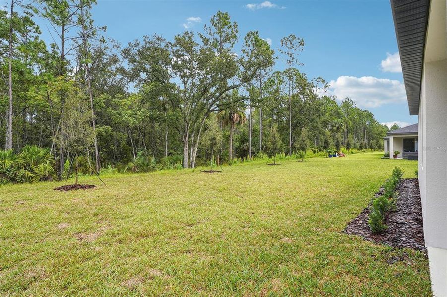 Exterior details and patio area of a home in Ridgehaven - Signature Series, Ormond Beach (Image 24).