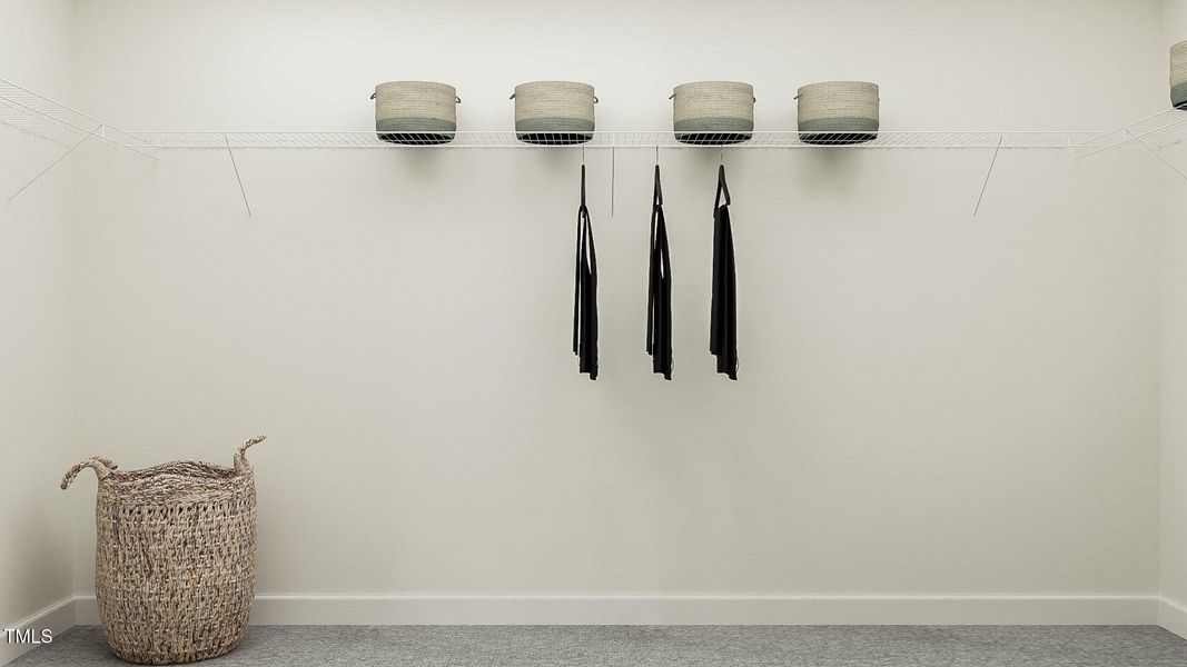 SUN_DesignerCollection_EllisWalk_Pic_Car