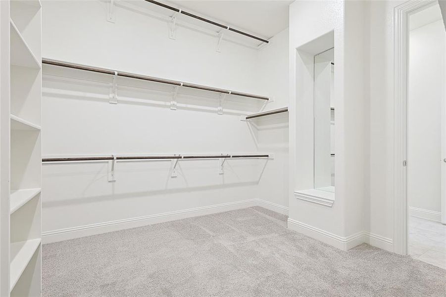 Spacious closet featuring light carpet