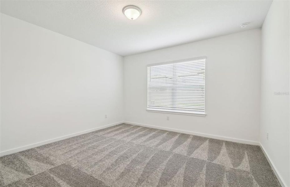 Model Representation