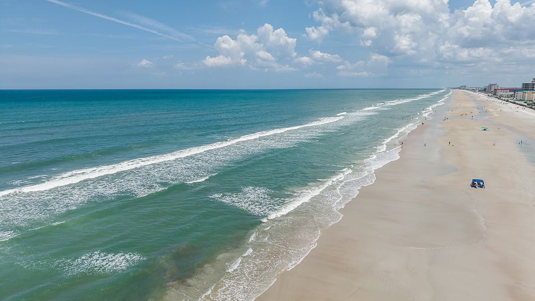 Natural landscape and outdoor views near Ardisia Park in New Smyrna Beach (Image 19).
