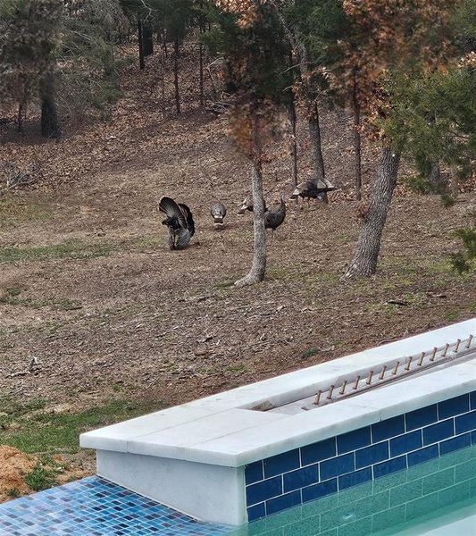 Image 20 of a home in .