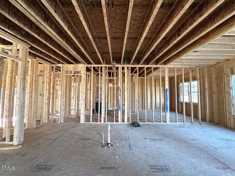 Photo Nov 20 2025, 2 43 25 PM (Medium)