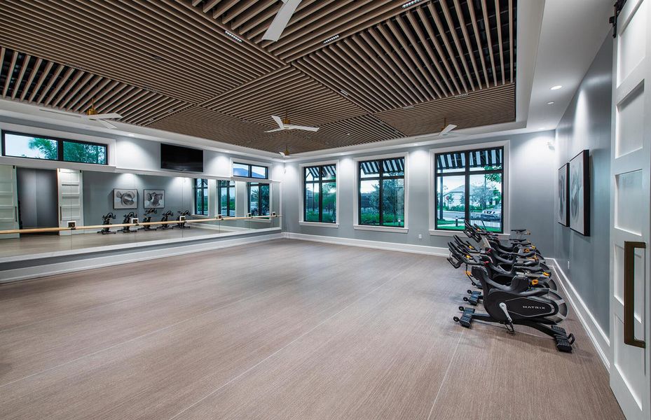 SWFL_DV_Terreno_MovementStudio_web