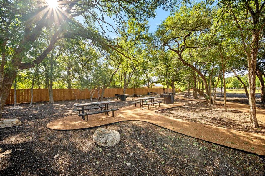 Community Park Community Park