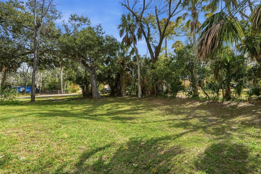 Natural landscape and outdoor views near in Daytona Beach (Image 26). Natural landscape and outdoor views near in Daytona Beach (Image 26).