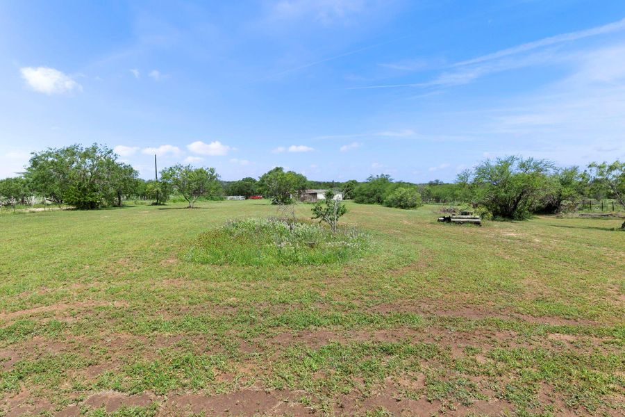 Natural landscape and outdoor views near  in Floresville (Image 30).