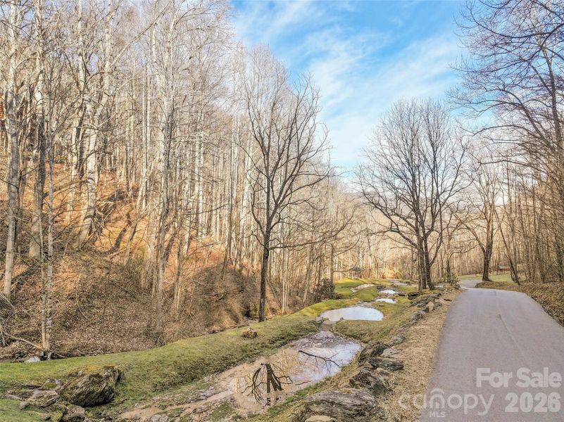 Natural landscape and outdoor views near  in Maggie Valley (Image 23).