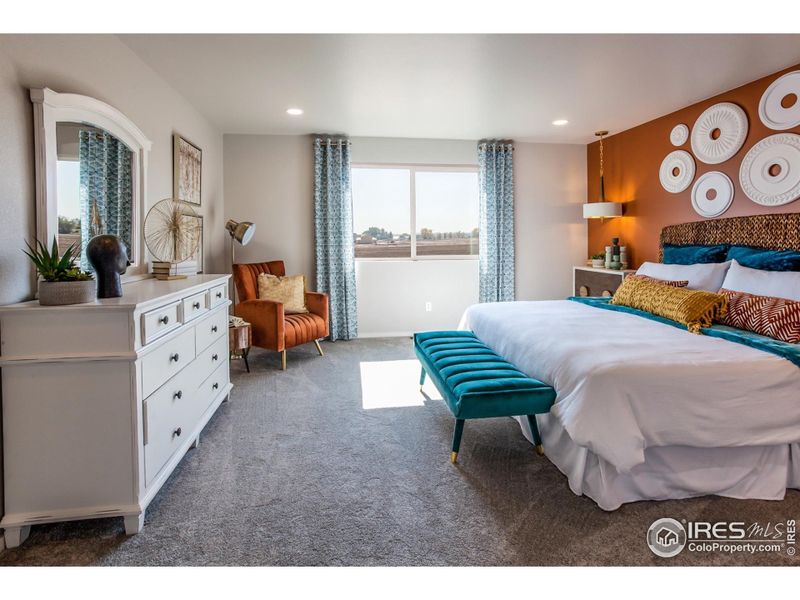 EXAMPLE PHOTO: MASTER BEDROOM