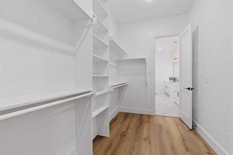 Walk in closet featuring light wood finished floors