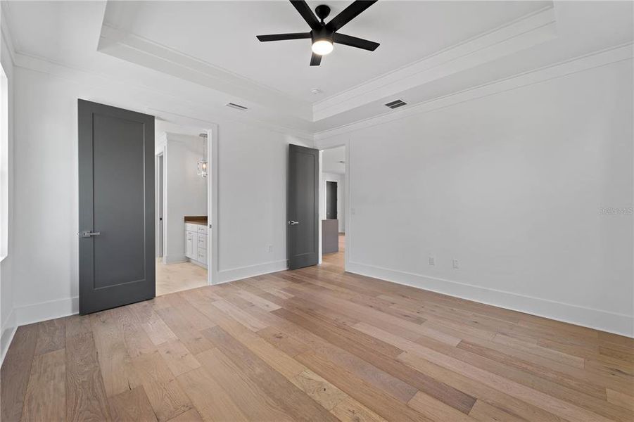 Guest Room w/Tray Ceilings