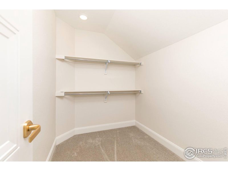 Walk-in closets in all of the bedrooms