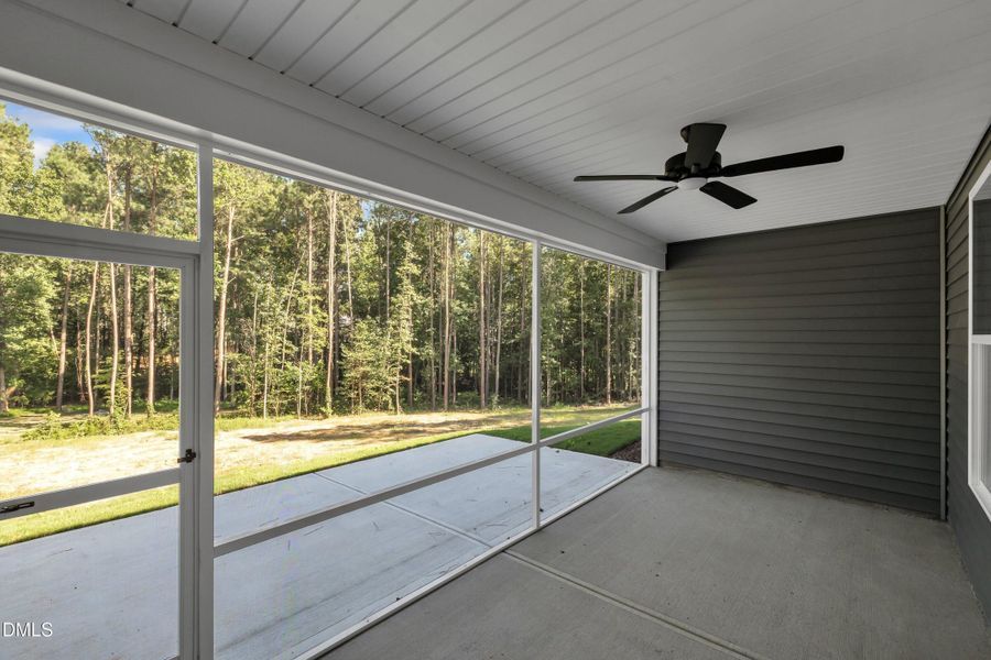 49-38 N Blue Sly Trail-47