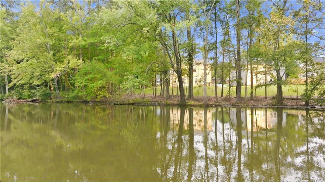 Natural landscape and outdoor views near  in Lawrenceville (Image 42).