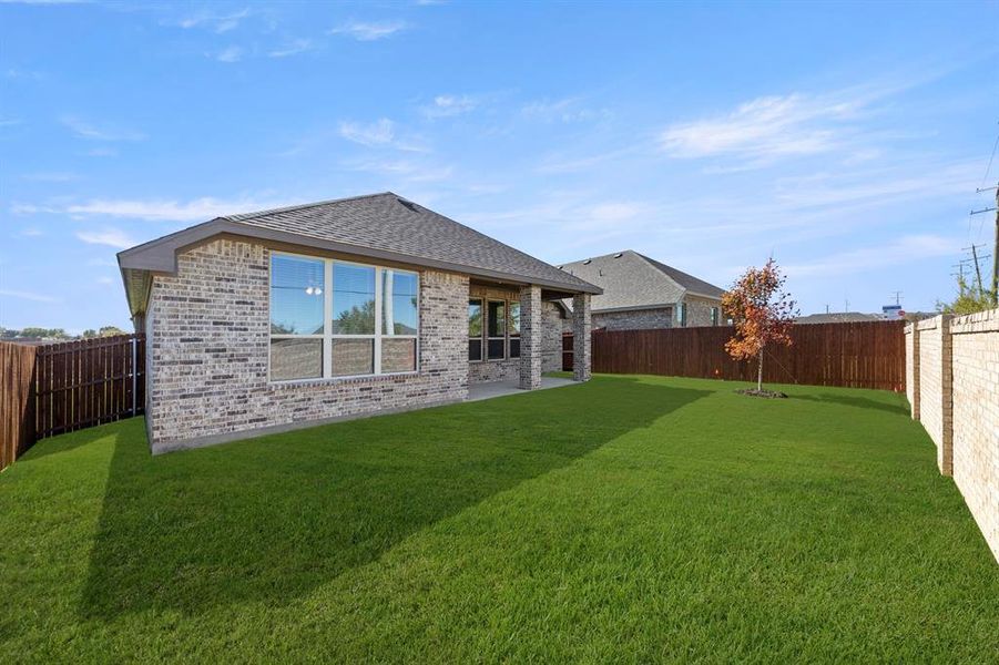 27. 139 Whistling Duck - Back (2)