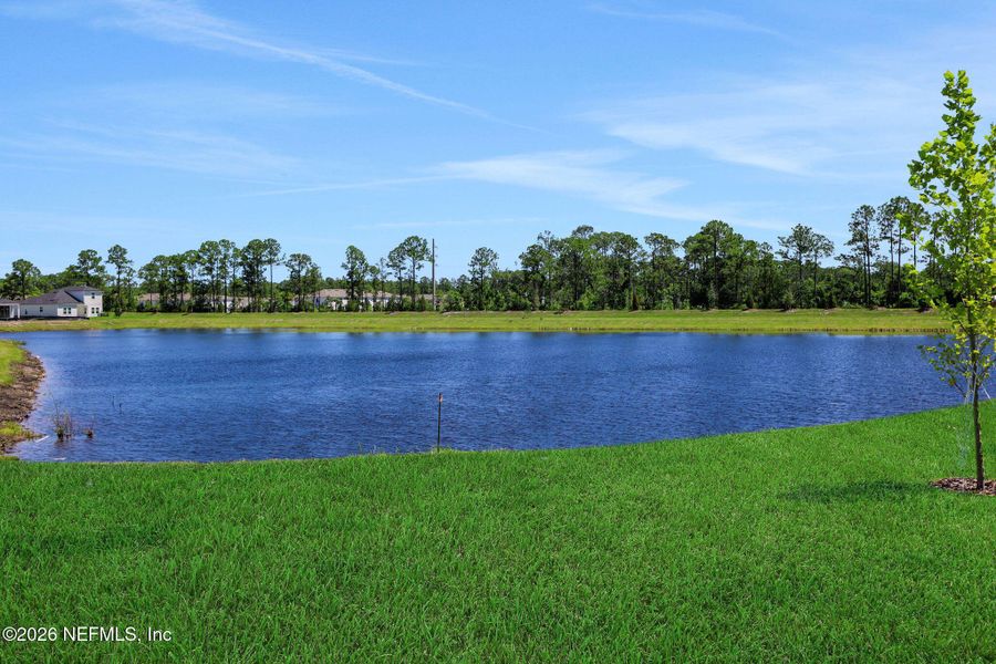 Natural landscape and outdoor views near in St. Augustine (Image 32). Natural landscape and outdoor views near in St. Augustine (Image 32).