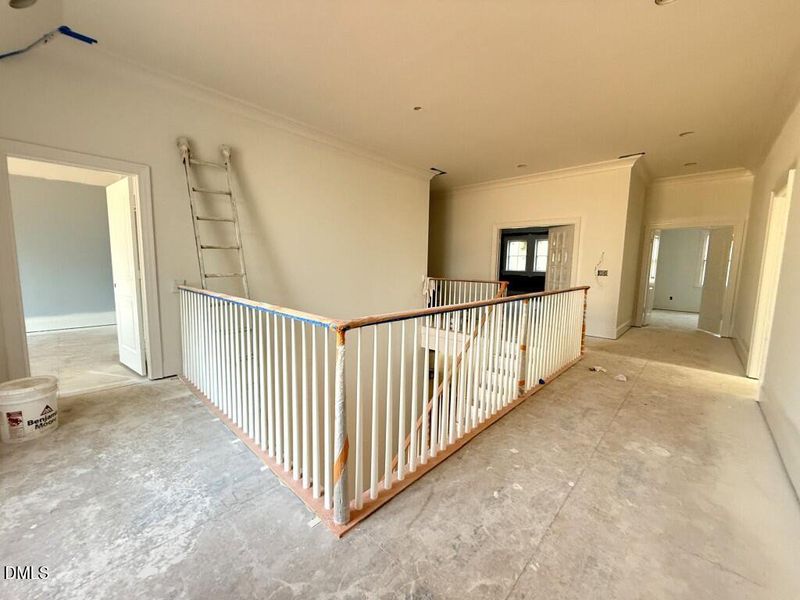 IMG_1383 2 (Medium) IMG_1383 2 (Medium)