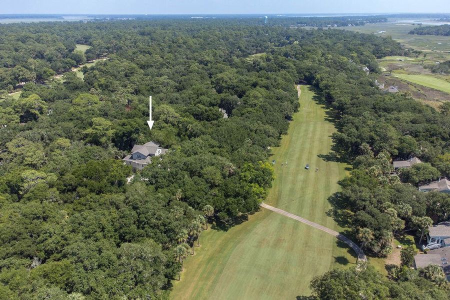 Natural landscape and outdoor views near  in Seabrook Island (Image 96).