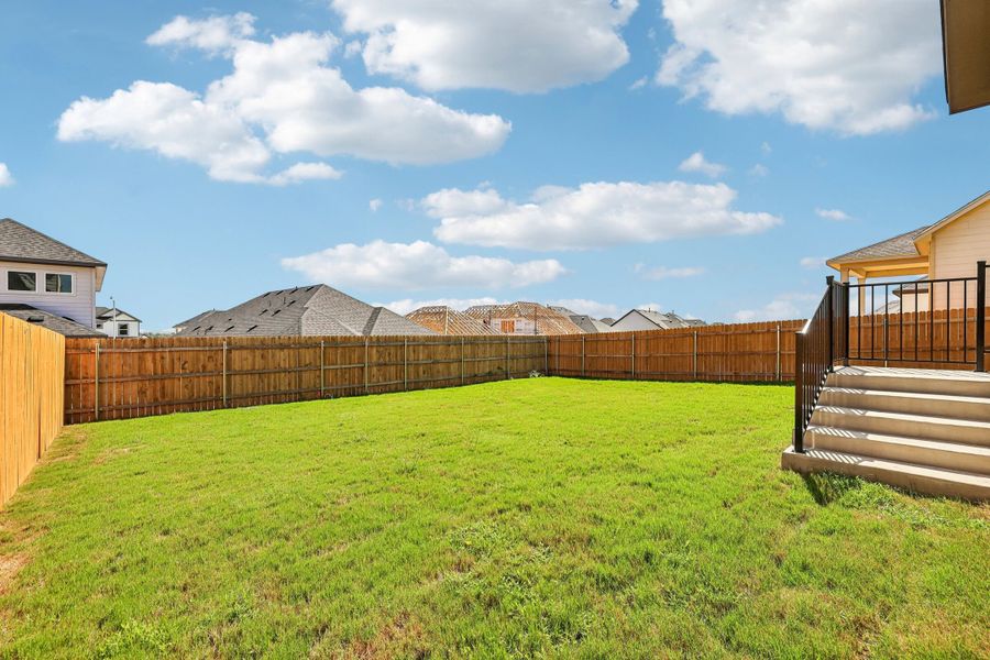 Back Yard