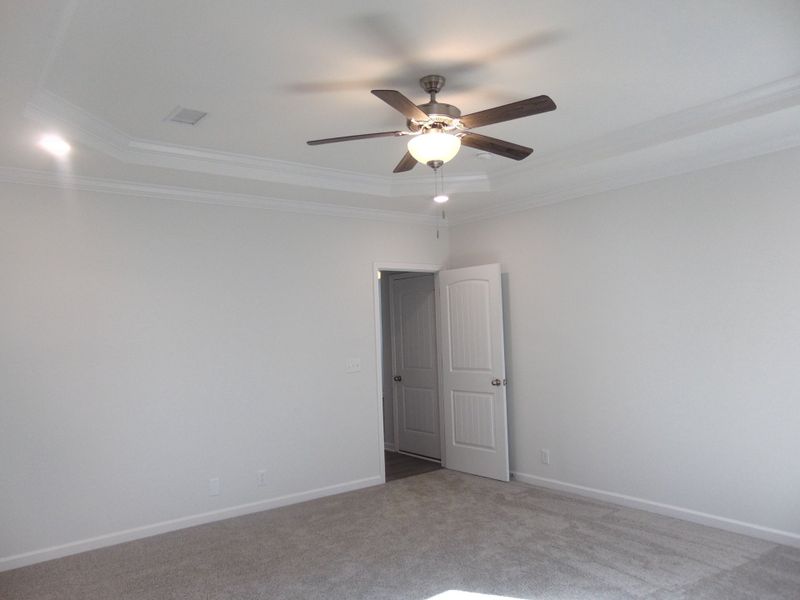 The primary bedroom is large and has perfectly detailed tray ceilings The primary bedroom is large and has perfectly detailed tray ceilings