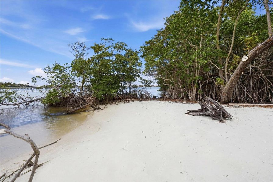 Natural landscape and outdoor views near  in Jupiter (Image 12).